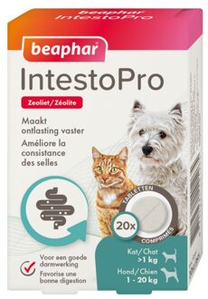 Beaphar intestopro kat / hond >20 kg 20 tbl