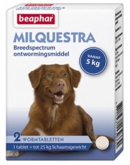 Beaphar Milquestra wormtabletten hond 2 tabletten vanf 5 - 50 kg