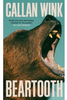 Beartooth - Callan Wink