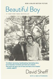 Beautiful Boy