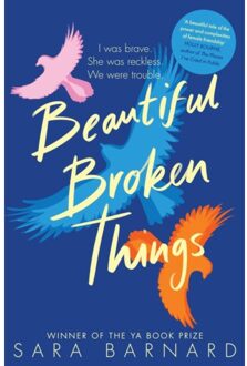 Beautiful Broken Things - Sara Barnard