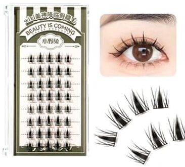 Beauty descending False Eyelashes - Little Hare #B Rabbit