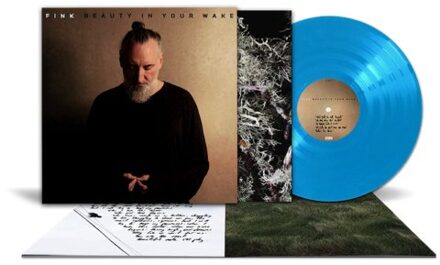 Beauty In Your Wake - Fink