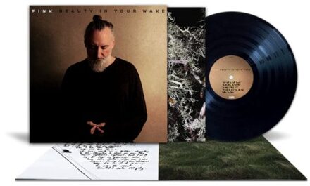 Beauty In Your Wake - Fink