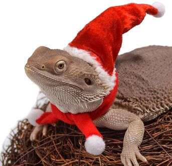 Bebaarde Draak Hagedis Santa Hoed Met Elastische Kinband + Sjaal + Trekkabel Kerst Kostuum Set Xmas Reptiel Apparel