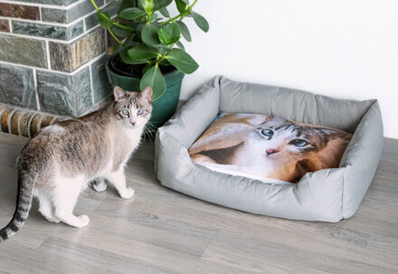 Bed voor honden en katten
