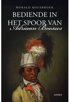 Bediende In Het Spoor Van Adriaan Boesses - Ronald Kousbroek