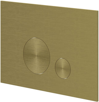 Bedieningspaneel Ivy Flush 2 Ronde Knoppen Flowering 3mm Rvs316 Geborsteld Mat Goud PVD