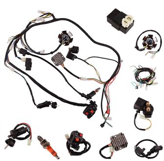 Bedrading-Harnas Stator-Kit Atv Bobine Duurzaam Voor Buggy Go-Kart 200CC Montage 4-Slag Auto Vervangende Onderdelen