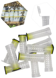 Bee Queen Opfok Cupkits Cagesbee Bijenkorf Gereedschap Voor Bijenteelt Imker Suppiler