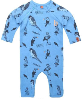 beebielove Jumper Veelkleurig - 50