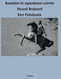 Beelden in openbare ruimte Noord Brabant -  Ante Tanta (ISBN: 9789464068917)