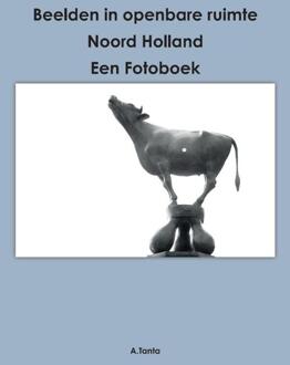 Beelden in openbare ruimte Noord Holland -  Ante Tanta (ISBN: 9789464068924)
