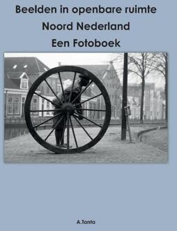 Beelden in openbare ruimte Noord Nederland -  Ante Tanta (ISBN: 9789464068931)