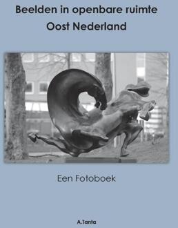 Beelden in openbare ruimte Oost Nederland -  Ante Tanta (ISBN: 9789464430264)