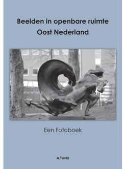 Beelden In Openbare Ruimte Oost Nederland - Ante Tanta