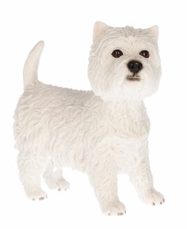 Beeldje West Highland Terrier 13 cm - Beeldjes Multikleur