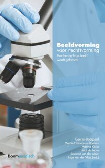Beeldvorming voor rechtsvorming - eBook Geerten Boogaard (9462747539)