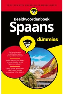 Beeldwoordenboek Spaans Voor Dummies - Voor Dummies