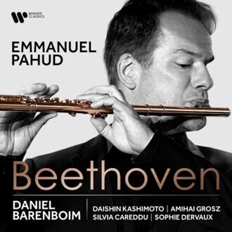 Beethoven: Chamber Music With Flute