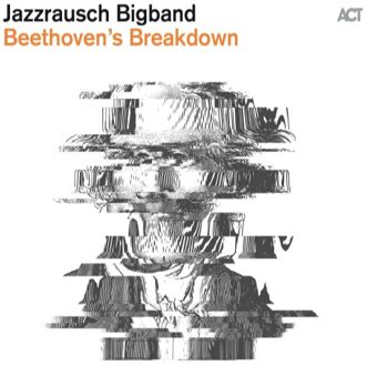 Beethoven`S Breakdown (Vinyl)