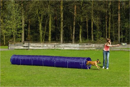 Beeztees Agility Tunnel Large 525x60x60 cm