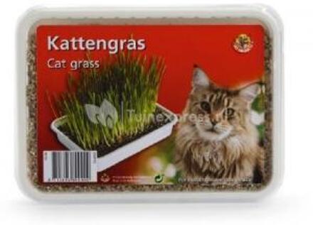 Beeztees Distripet - Kattengras