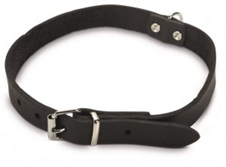Beeztees Halsband Hond - Leer - Zwart - 43-52 cm x 20 mm