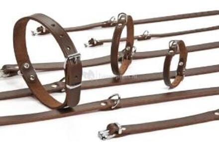 Beeztees Hondenhalsband - Bruin - 47-57 cm x 25 mm