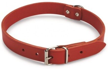 Beeztees Hondenhalsband - Rood - 35,5-41,5 cm x 18 mm