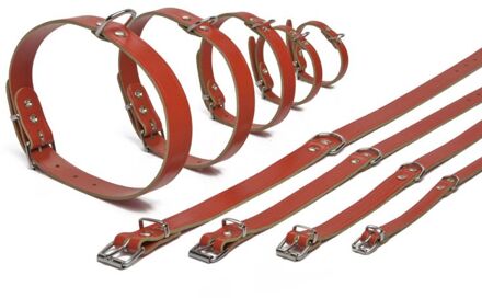 Beeztees Hondenhalsband - Rood - 35,5-41,5 cm x 18 mm