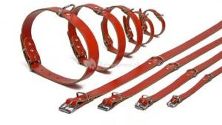 Beeztees Hondenhalsband - Rood - 43-52 cm X 20 mm