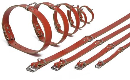 Beeztees Hondenhalsband - Rood - 47-57 cm X 25 mm