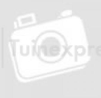 Beeztees Hondenmand Synthetisch Schapenvacht 109x67x8 Cm Crème 704071