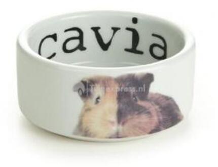 Beeztees Keram eetbak snapshot cavia 10x4