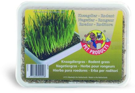 Beeztees Knaagdiergras in Box - 130 gram