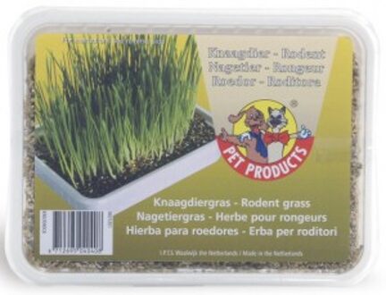 Beeztees Knaagdiergras in Box - Supplement - 130 gram