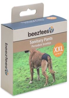 Beeztees Loopsheidbroekje - Hond - 2XL - Zwart