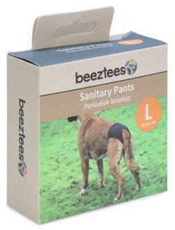 Beeztees Loopsheidbroekje - Hond - L - Zwart