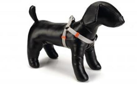 Beeztees nylon borsttuig uni Lichtgrijs 46-75 cm x 20 mm