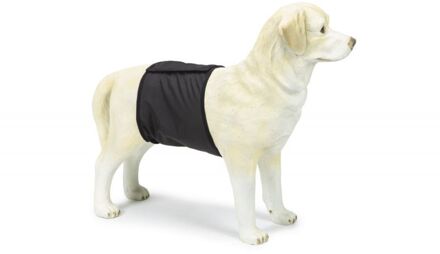 Beeztees Reu - Incontinentieband - 40x10cm