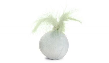 Beeztees Rizo Bal met veer Kitten - Kattenspeeltje - Mint - 5 x 5 x 12 cm