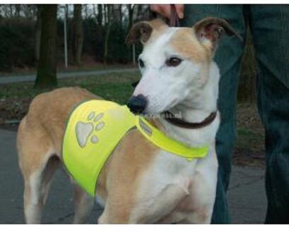 Beeztees Safety Gear Veiligheidsvest - Hond - Geel - S