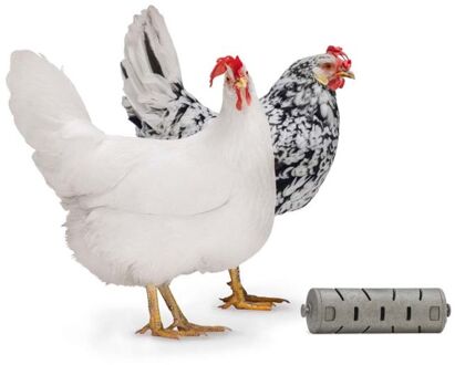 Beeztees Snackroller - Kippenvoerbak - 22,5x6,5x6,5 cm - Grijs Groen