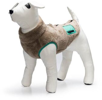 Beeztees Teddy - Hondenjas - 24 cm - Taupe - Extra small