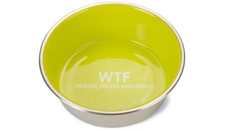 Beeztees WTF RVS - Voer en drinkbak - 20 cm - Groen