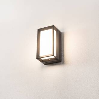 Bega buitenwandlamp 22750 K3, grafiet, gegoten aluminium. Glas grafiet, wit