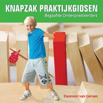 Begaafde Onderpresteerders - Boek Eleonoor van Gerven (946193887X)