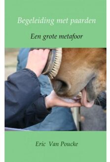 Begeleiding met paarden