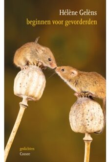 Beginnen Voor Gevorderden - Hélène Gelèns